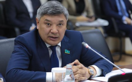 Журналдың жаңа атауы жанымды жылытты